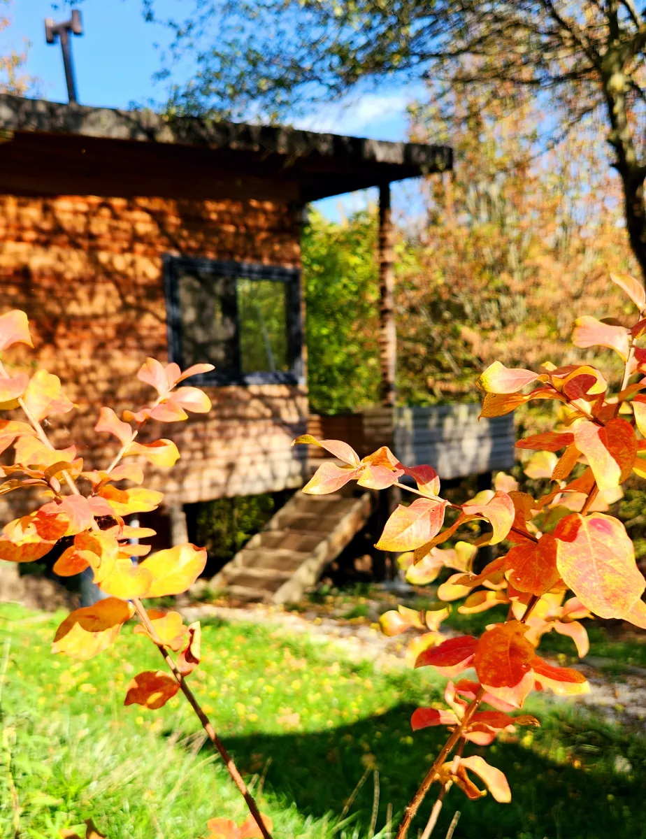 Botanikevim fotoğraf 13