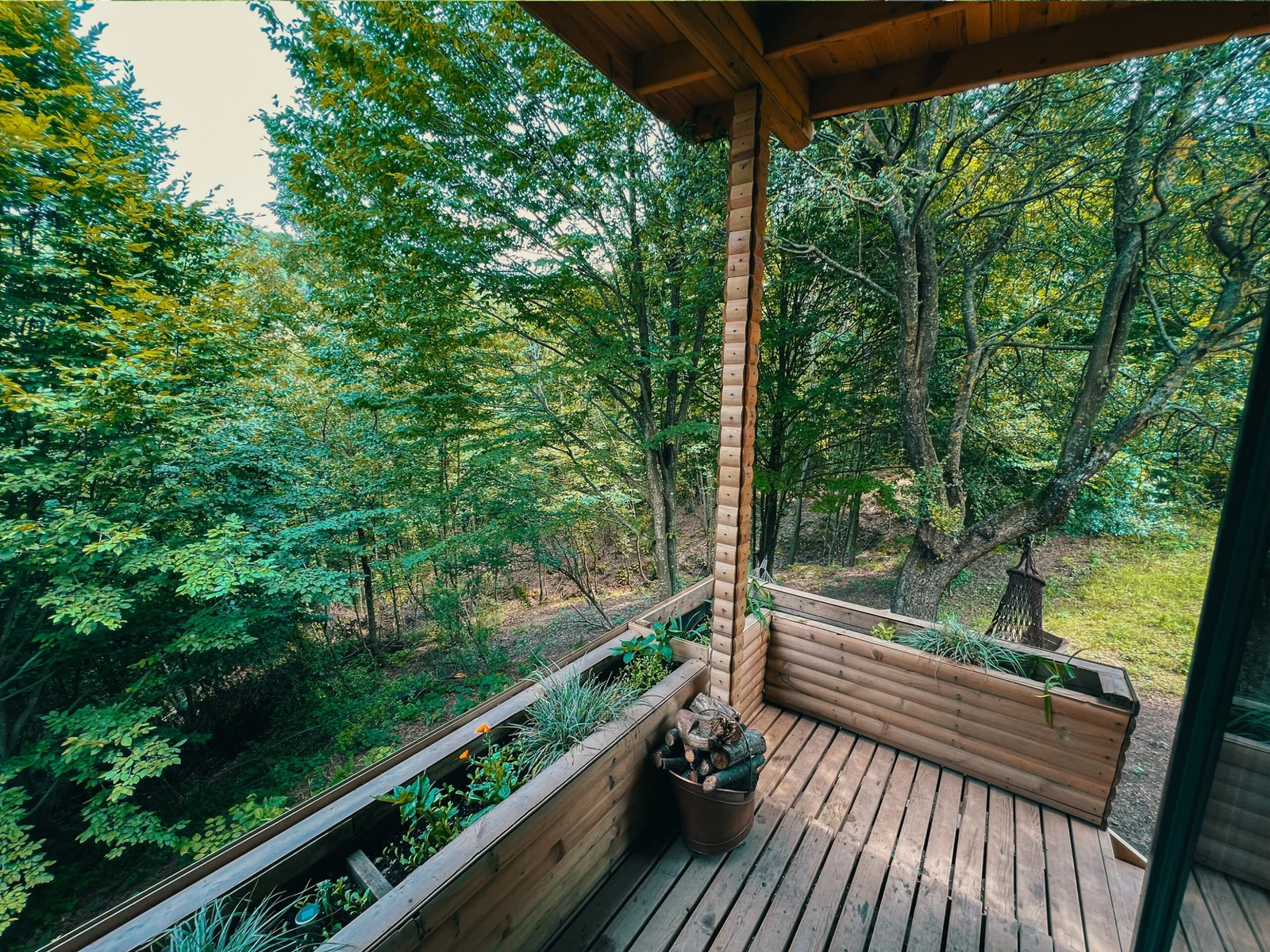 Botanikevim fotoğraf 8