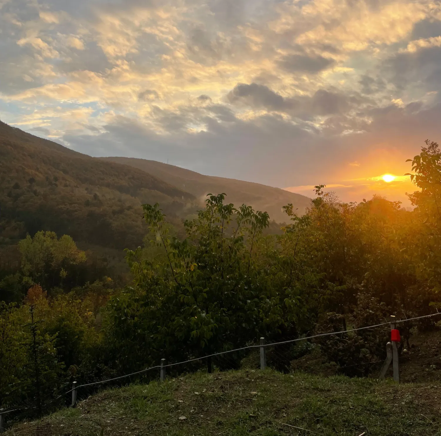 Esenev 1 fotoğraf 13