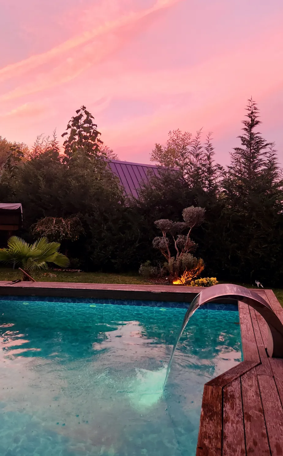 Premium-3 Konsept fotoğraf 12